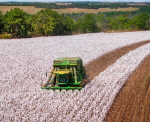 Brazil sets new cotton export record